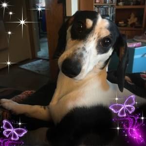 Meet your Posher, Judy